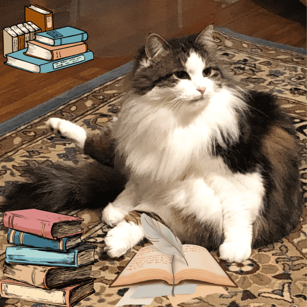 Image of cat surrounded by books | Signup for PineScroll Creative's Newsletter